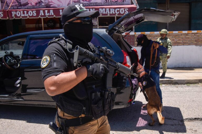 Autoridades policiacas, militares y de tránsito desplegaron dos operativos en el boulevard Chilpancingo-Petaquillas como parte de las acciones para evitar que se sigan registrando hechos de violencia e inseguridad en la zona centro del Guerrero.