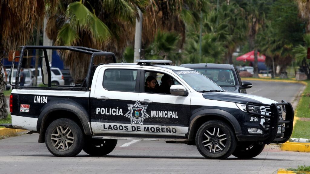 hallan-siete-cadaveres-con-senas-de-violencia-en-lagos-de-moreno-jalisco