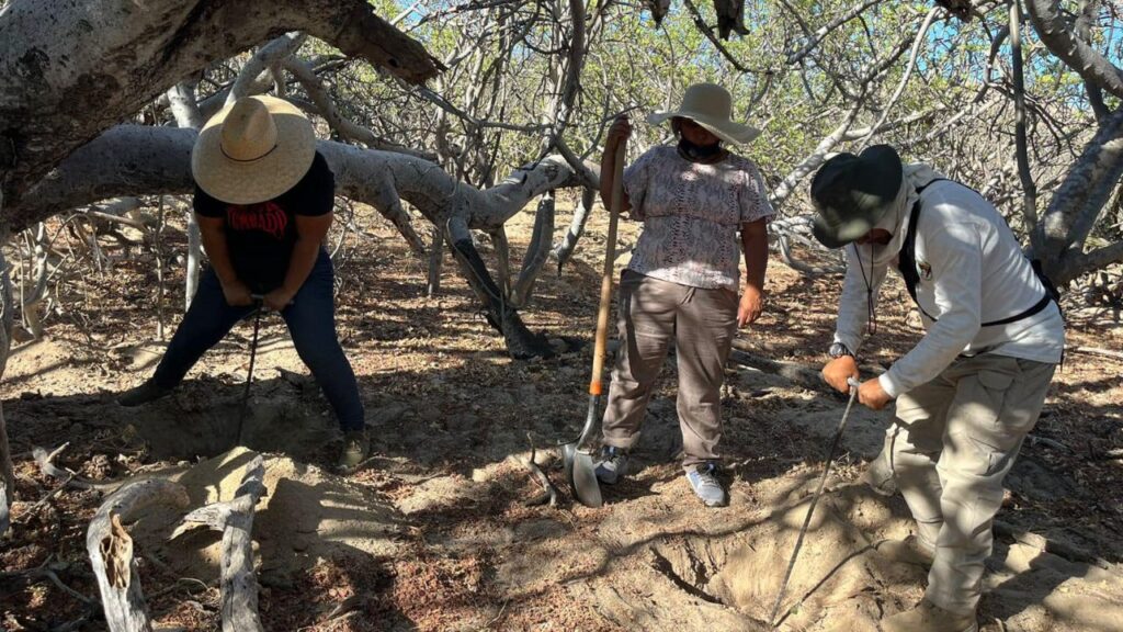 fosas-baja-California