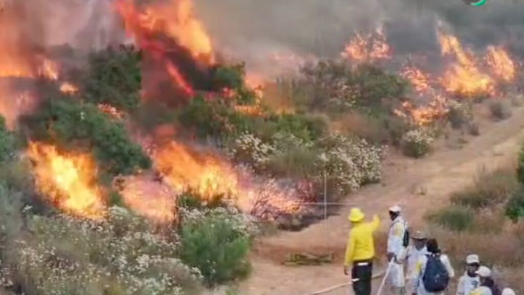 incendio-valle-de-guadalupe-baja-california-afecta-mas-de-800-hectareas