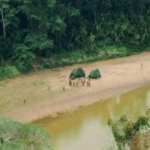 peru_activa_protocolo_de_actuacion_tras_avistamiento_de_un_pueblo_indigena_en_aislamiento