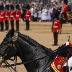 princesa-ana-inglaterra-hospitalizada-heridas-leves-incidente-golpeada-caballo