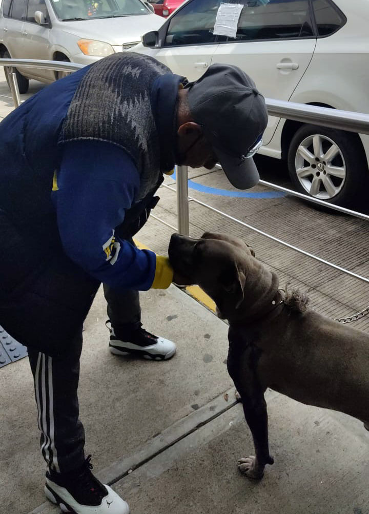 Lo atacó su padrastro con un puñal e hirió a su perro