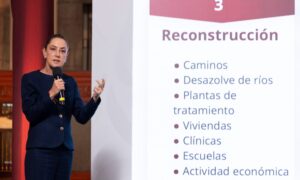 apoyo_1531