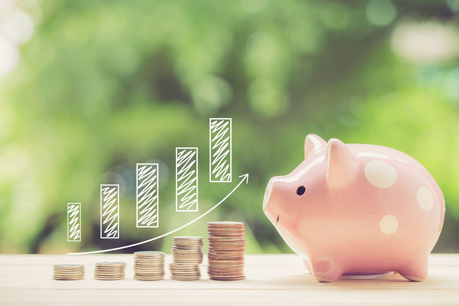 Money coins stack growing graph and piggy bank nature background
