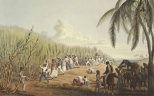 0307d51b714d4f8a8993ea2b27c36048