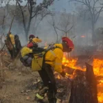 0491014176f84a2fba64e0cb941ba667