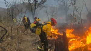 0491014176f84a2fba64e0cb941ba667