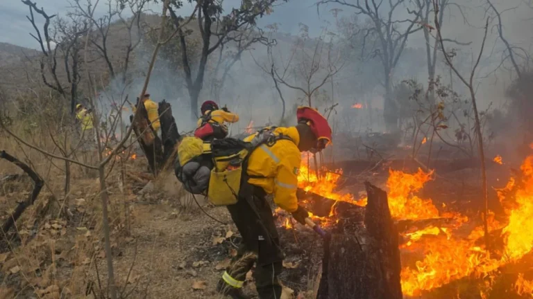 0491014176f84a2fba64e0cb941ba667