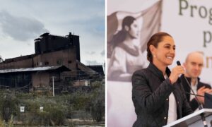 0804b70b715e48d7a6a2672fec0724f5