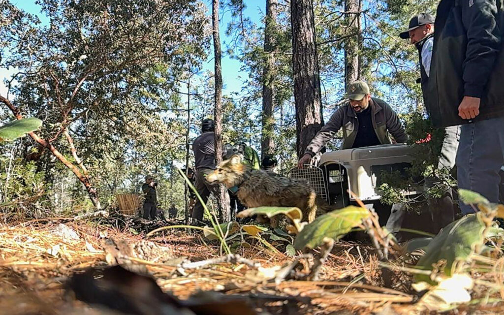 260aef777b4b45258e9ab2236e614d0b