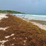 2988edc3794749fea956bee799d899d3