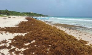 2988edc3794749fea956bee799d899d3