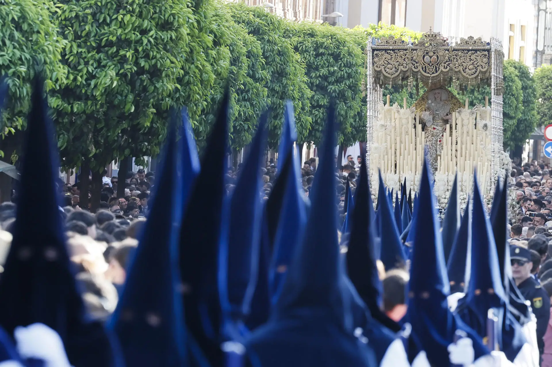 Domingo de Ramos en Sevilla