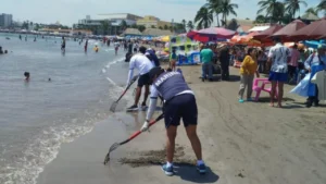 41c927684fd64979ae6d885a733b29cc