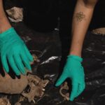 4293bd0f9d474f169a81e59d199e81c7