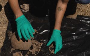 4293bd0f9d474f169a81e59d199e81c7