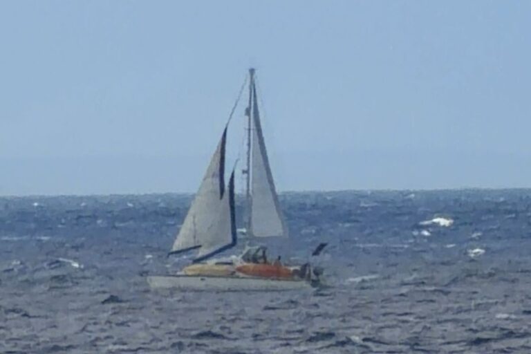 4f31da0c619549729d950a1dde058a4b