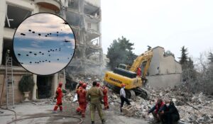 4f562f682eaf4774a1bebee821d23ab6