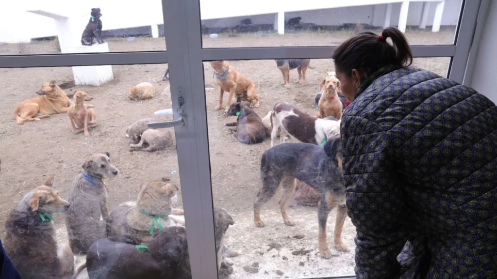 6704fef4db7f45609659c0dee0d4f269