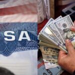 68b5ae7d227e4ecf90bb78d92e0f683a