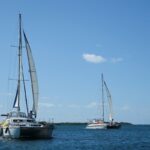 779d1660f1274e83b5c792524397c47d