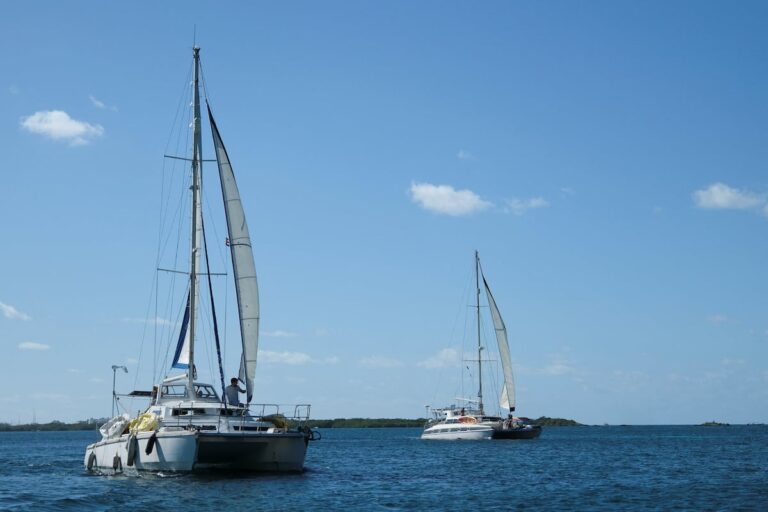 779d1660f1274e83b5c792524397c47d