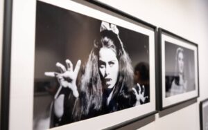 7c1d87ce67ea4549aa0b187f62b8c58e