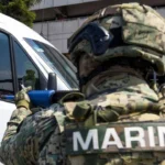 7cd287ed757f481c952301b152691f74