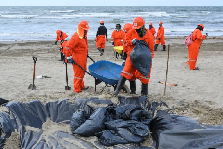 8f3e1897ded0487ead4140376f22ac7d