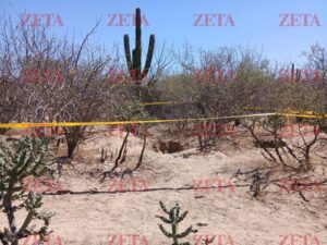 a23410edf3264a71a5566f34506611cc