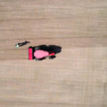 b41cb0837667421496d448905786f81d