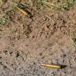 b86262166625440e9a956e97ecfd8e9f