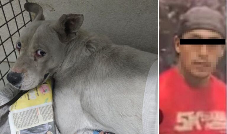 c50bcf1e311a49579c8a0a3c2b5a19b4