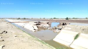 e5c5de6f2cdb4ef0b30b2428ca99b7fe