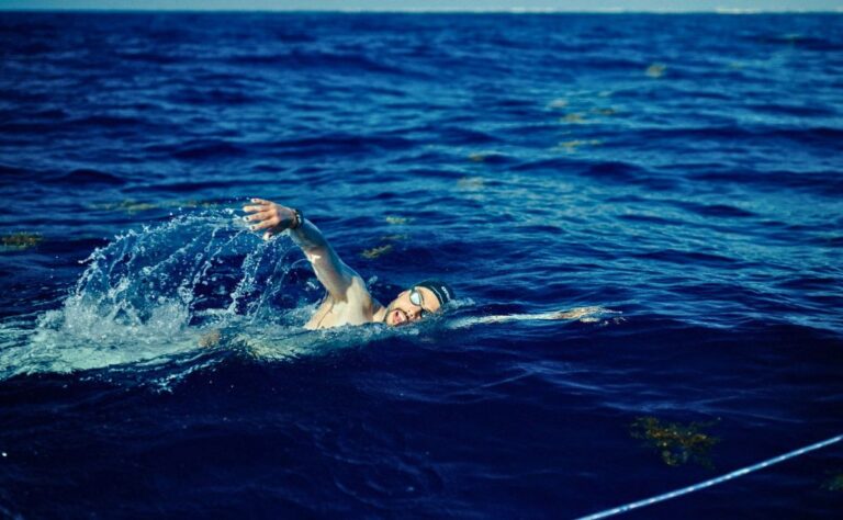 00ce76de33614a83952ba6e5ee7ff747