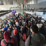 08fd0e1a1fee410bb7014baa53822e90