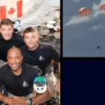 0cf0abc94b8e449eb9884f6f0e034d6b