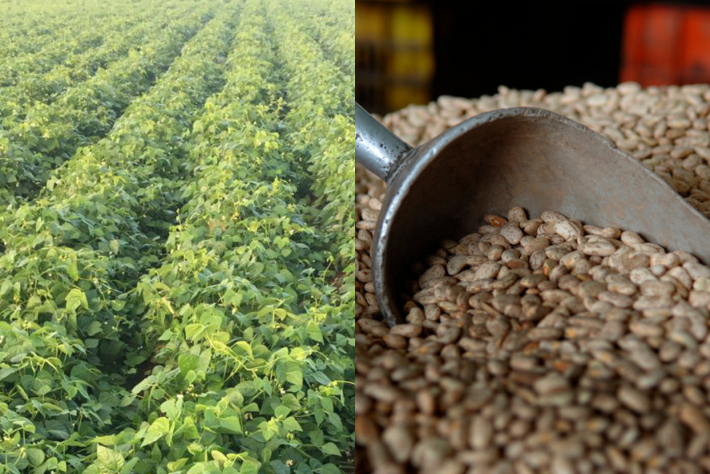 14c9020767b44463bd3020e44a3054fd