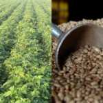 14c9020767b44463bd3020e44a3054fd