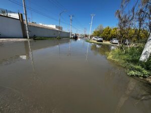 17542dfe0a07425f80ebd795b4e9f172