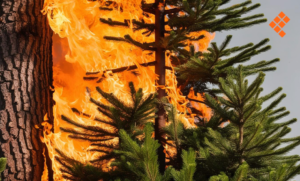 175a709424b247b7a1eae5f2d73a00dd