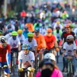 26c5f4782c324b8299d416777f741e7e