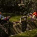 2bf8942ed9c24d6a9a06aba2c1d61b04