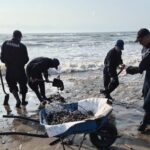 3c07ae132ee84954bedb70c0dc1dd007