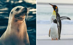 517eaa9a2c7a46f08a5d3ebcded382cf