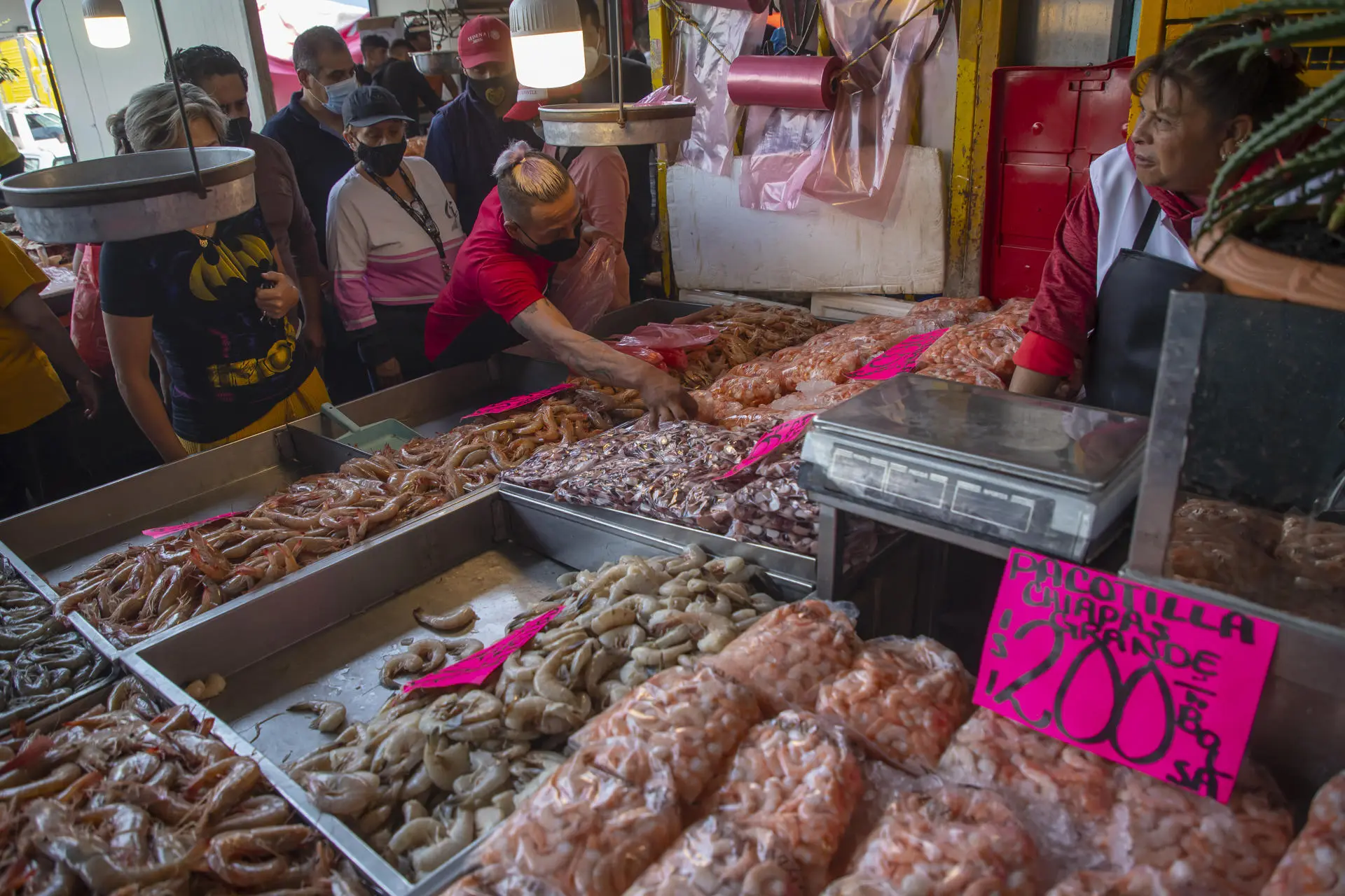 México alcanza 38 % de fraude en venta de pescado y duplica promedio global, según estudio