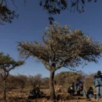 603502243733474989c419b38b804221