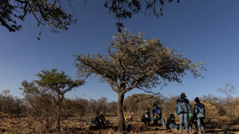 603502243733474989c419b38b804221