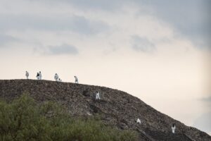 7a63d335b42e4522b8b6721615b6e6d0